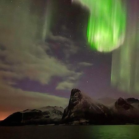 Aparthotel Senja Living Stonglandseidet Exteriér fotografie