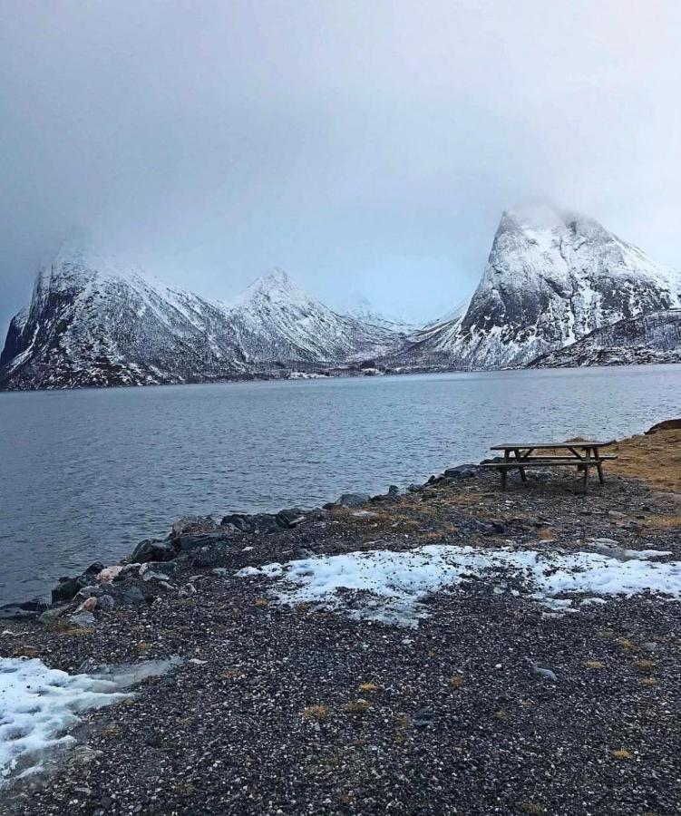 Aparthotel Senja Living Stonglandseidet Exteriér fotografie