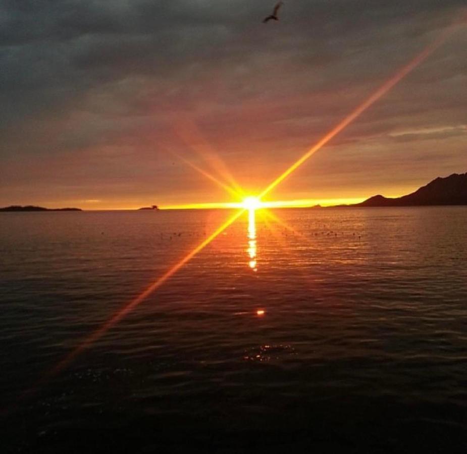 Aparthotel Senja Living Stonglandseidet Exteriér fotografie