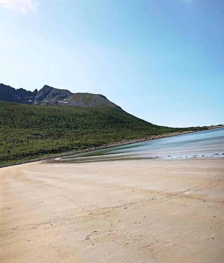 Aparthotel Senja Living Stonglandseidet Exteriér fotografie