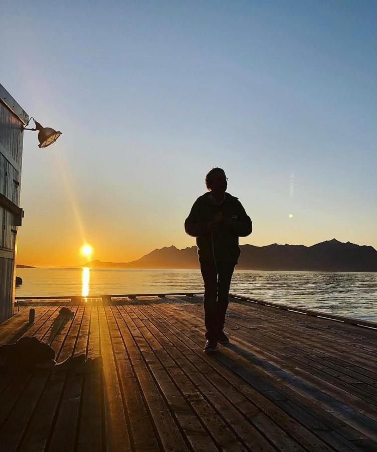 Aparthotel Senja Living Stonglandseidet Exteriér fotografie