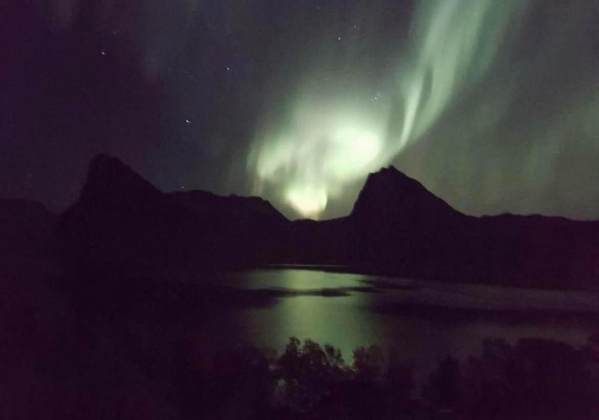 Aparthotel Senja Living Stonglandseidet Exteriér fotografie