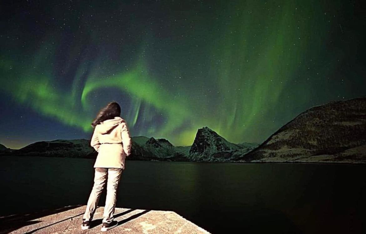 Aparthotel Senja Living Stonglandseidet Exteriér fotografie