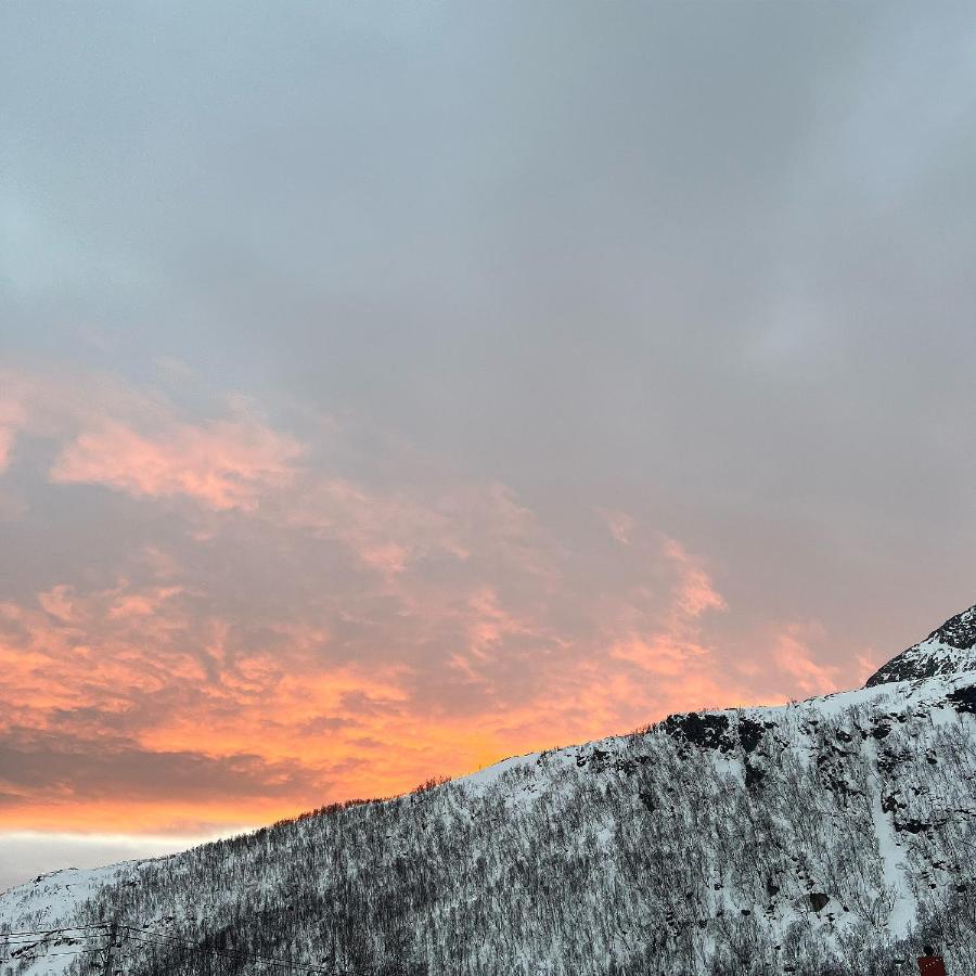 Aparthotel Senja Living Stonglandseidet Exteriér fotografie