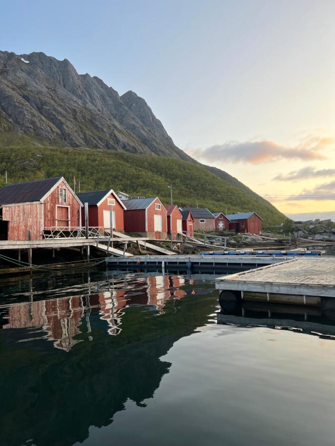 Aparthotel Senja Living Stonglandseidet Exteriér fotografie