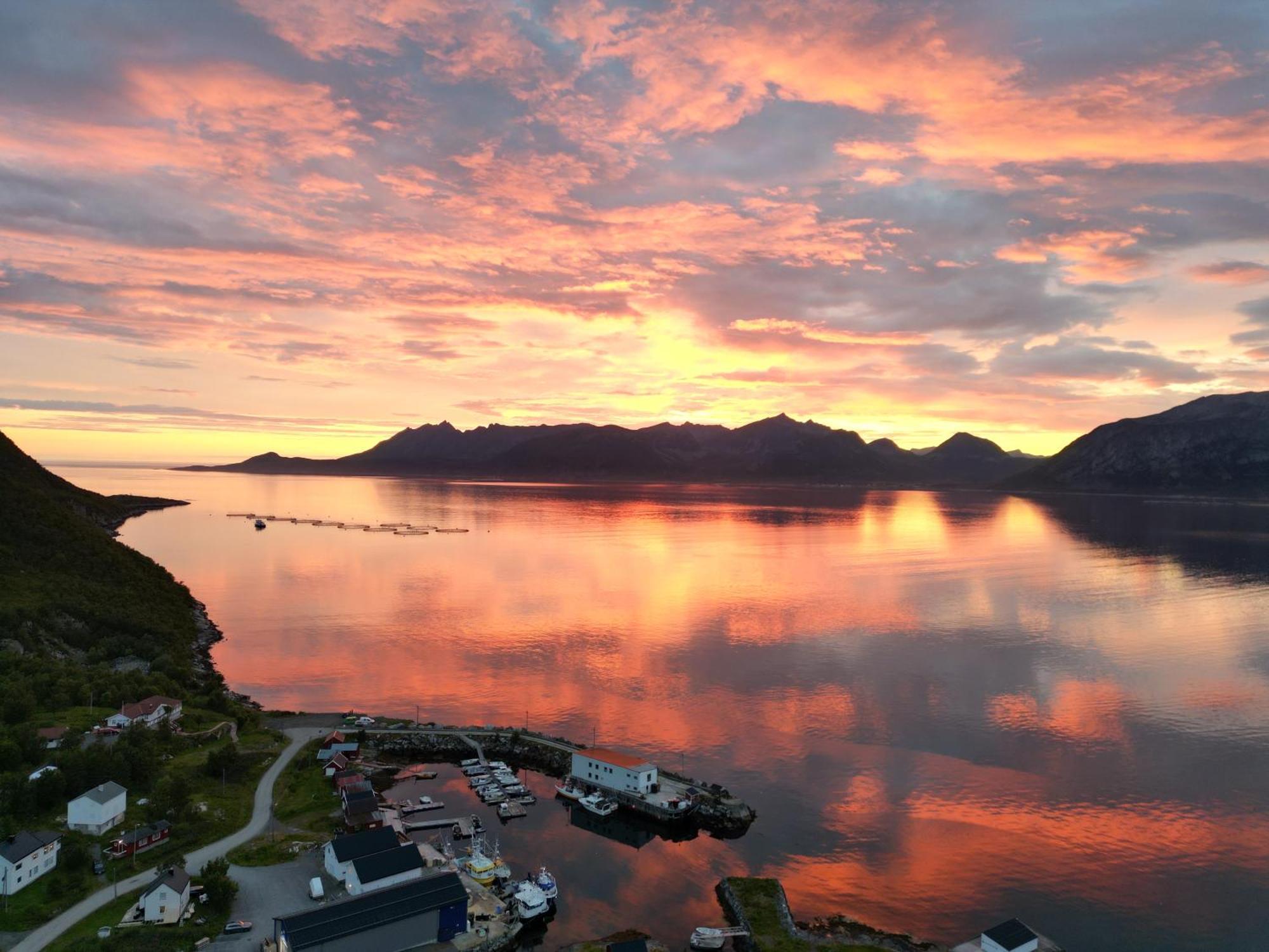 Aparthotel Senja Living Stonglandseidet Exteriér fotografie